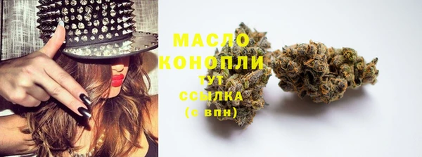 молекула духа Лихославль