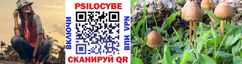 Купить закладки  Балей  Псилоцибиновые грибы Cubensis 